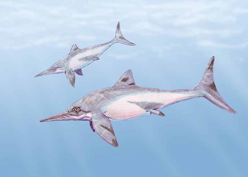 Think of them as dolphins, but with less Flipper.  And thus, innately superior.